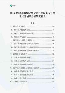 2025-2030年數字化轉化和開發服務行業跨境出海戰略分析研究報告