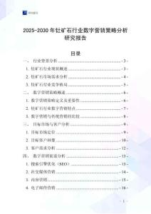 2025-2030年釷礦石行業(yè)數(shù)字營銷策略分析研究報告
