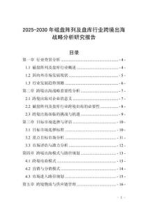 2025-2030年磁盤陣列及盤庫行業跨境出海戰略分析研究報告