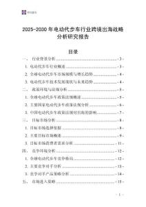 2025-2030年電動代步車行業跨境出海戰略分析研究報告