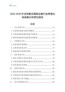 2025-2030年沿海集裝箱船運輸行業跨境出海戰略分析研究報告