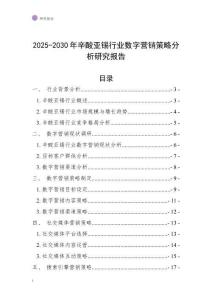 2025-2030年辛酸亚锡行业数字营销策略分析研究报告