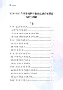 2025-2030年苯甲酸鈉行業商業模式創新分析研究報告