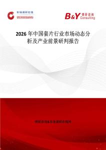 2026年中國(guó)套片行業(yè)市場(chǎng)動(dòng)態(tài)分析及產(chǎn)業(yè)前景研判報(bào)告