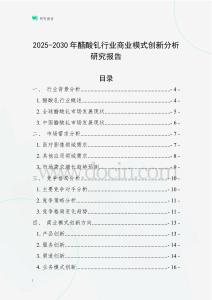 2025-2030年醋酸釓行業(yè)商業(yè)模式創(chuàng)新分析研究報(bào)告