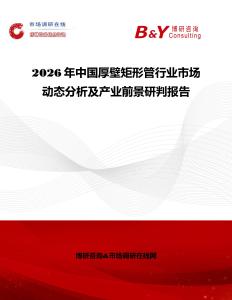 2026年中国厚壁矩形管行业市场动态分析及产业前景研判报告