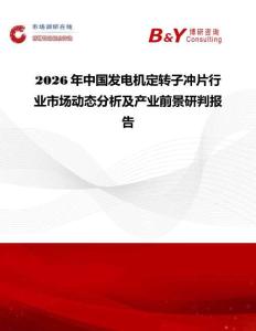 2026年中國發(fā)電機定轉子沖片行業(yè)市場動態(tài)分析及產業(yè)前景研判報告