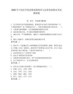 2025年川北医学院思想道德修养与法律基础期末考试模拟题及参考答案（夺分金卷）