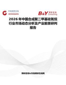 2026年中國合成聚二甲基硅氧烷行業(yè)市場動態(tài)分析及產(chǎn)業(yè)前景研判報告