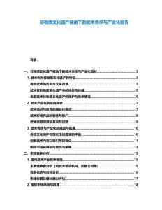 非物質(zhì)文化遺產(chǎn)視角下的武術(shù)傳承與產(chǎn)業(yè)化報(bào)告