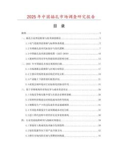 2025年中國插孔市場調(diào)查研究報告
