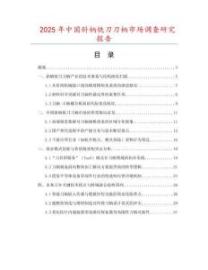 2025年中國斜柄銑刀刀柄市場調查研究報告