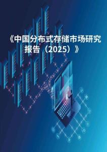 分布式存儲(chǔ)市場(chǎng)研究報(bào)告（2025）-