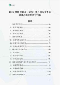 2025-2030年翻斗（箕斗）提升機行業直播電商戰略分析研究報告