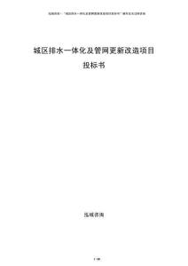 城區(qū)排水一體化及管網(wǎng)更新改造項(xiàng)目投標(biāo)書