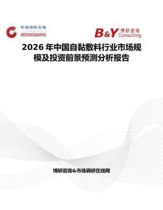 2026年中國自黏敷料行業市場規模及投資前景預測分析報告