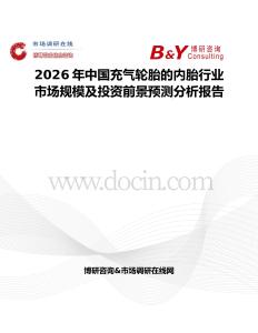 2026年中國充氣輪胎的內胎行業(yè)市場規(guī)模及投資前景預測分析報告
