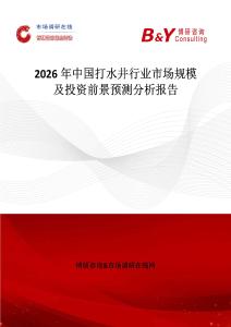 2026年中國打水井行業市場規模及投資前景預測分析報告