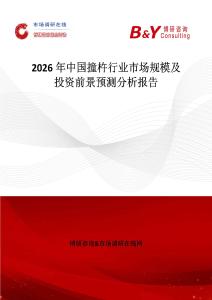 2026年中國撞杵行業(yè)市場規(guī)模及投資前景預測分析報告