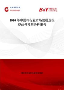2026年中國杵行業(yè)市場規(guī)模及投資前景預測分析報告