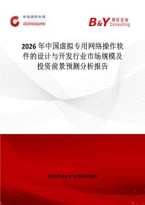 2026年中国虚拟专用网络操作软件的设计与开发行业市场规模及投资前景预测分析报告