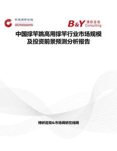 中國撐竿跳高用撐竿行業市場規模及投資前景預測分析報告