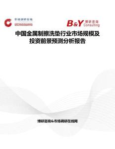 中國金屬制擦洗墊行業市場規模及投資前景預測分析報告