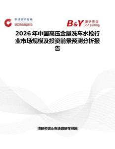 2026年中國高壓金屬洗車水槍行業(yè)市場規(guī)模及投資前景預測分析報告