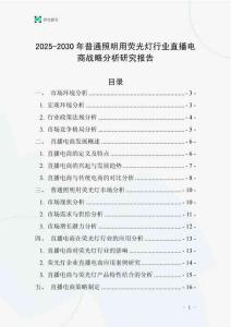 2025-2030年普通照明用熒光燈行業直播電商戰略分析研究報告