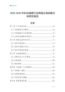 2025-2030年釤鈷磁鋼行業(yè)跨境出海戰(zhàn)略分析研究報告