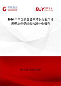 2026年中國顫音音效踏板行業(yè)市場規(guī)模及投資前景預(yù)測分析報(bào)告
