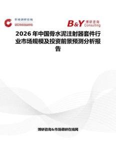 2026年中國骨水泥注射器套件行業市場規模及投資前景預測分析報告