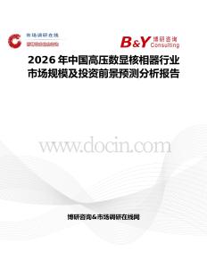 2026年中国高压数显核相器行业市场规模及投资前景预测分析报告