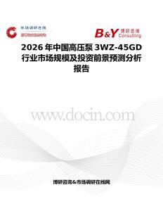 2026年中國高壓泵3WZ-45GD行業市場規模及投資前景預測分析報告