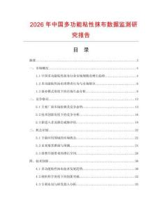 2026年中國多功能粘性抹布數據監測研究報告