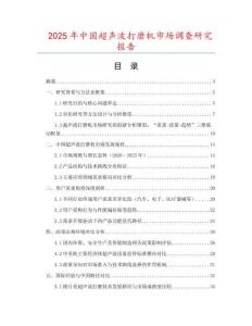 2025年中國超聲波打磨機市場調查研究報告