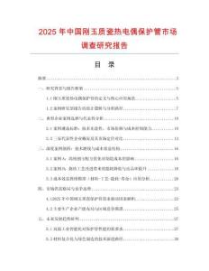 2025年中國剛玉質瓷熱電偶保護管市場調查研究報告