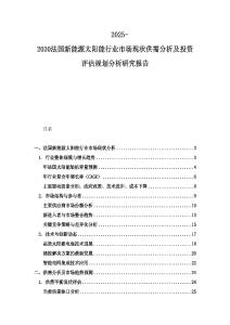 2025-2030法國新能源太陽能行業市場現狀供需分析及投資評估規劃分析研究報告