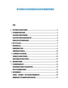 电子商务行业市场深度分析及未来发展研究报告