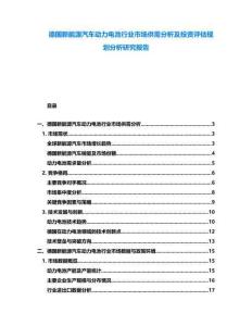 德國新能源汽車動力電池行業市場供需分析及投資評估規劃分析研究報告