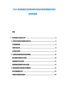 2025海洋能源行業市場供需分析及未來投資規劃評估分析研究報告