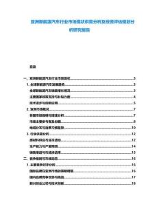 亞洲新能源汽車行業市場現狀供需分析及投資評估規劃分析研究報告