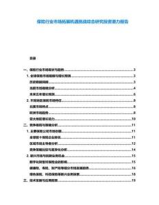 保險(xiǎn)行業(yè)市場拓展機(jī)遇挑戰(zhàn)綜合研究投資潛力報(bào)告