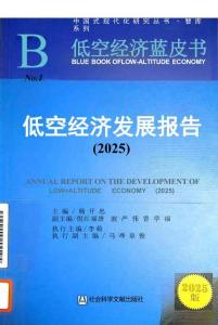 低空經(jīng)濟(jì)發(fā)展報(bào)告(2025)下