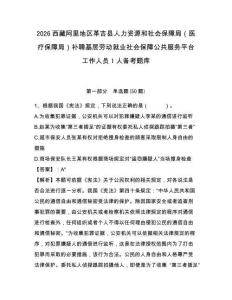 2026西藏阿里地區(qū)革吉縣人力資源和社會(huì)保障局（醫(yī)療保障局）補(bǔ)聘基層勞動(dòng)就業(yè)社會(huì)保障公共服務(wù)平臺(tái)工作