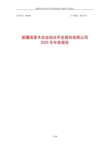 新農開發：2025年年度報告