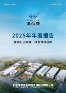 沃爾德：2025年年度報告