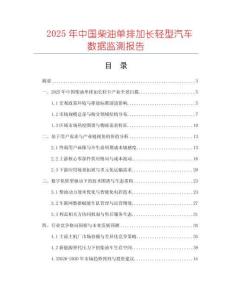 2025年中國(guó)柴油單排加長(zhǎng)輕型汽車數(shù)據(jù)監(jiān)測(cè)報(bào)告