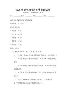 2025年高考政治理論素養測試卷