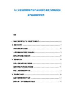 2025海洋資源深潛開發(fā)產(chǎn)業(yè)市場(chǎng)潛力深度分析及投資發(fā)展方向戰(zhàn)略研究報(bào)告